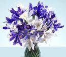 http://www.aroma.su/images/flower/flower_2_277.jpg